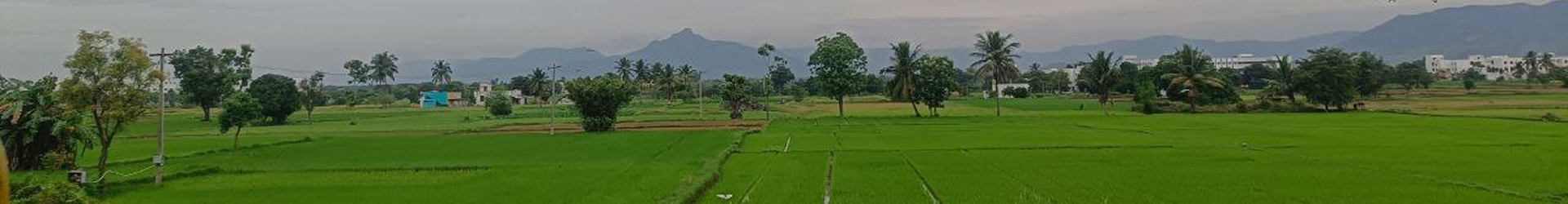 Sri Velmurugan Modern Rice Mill